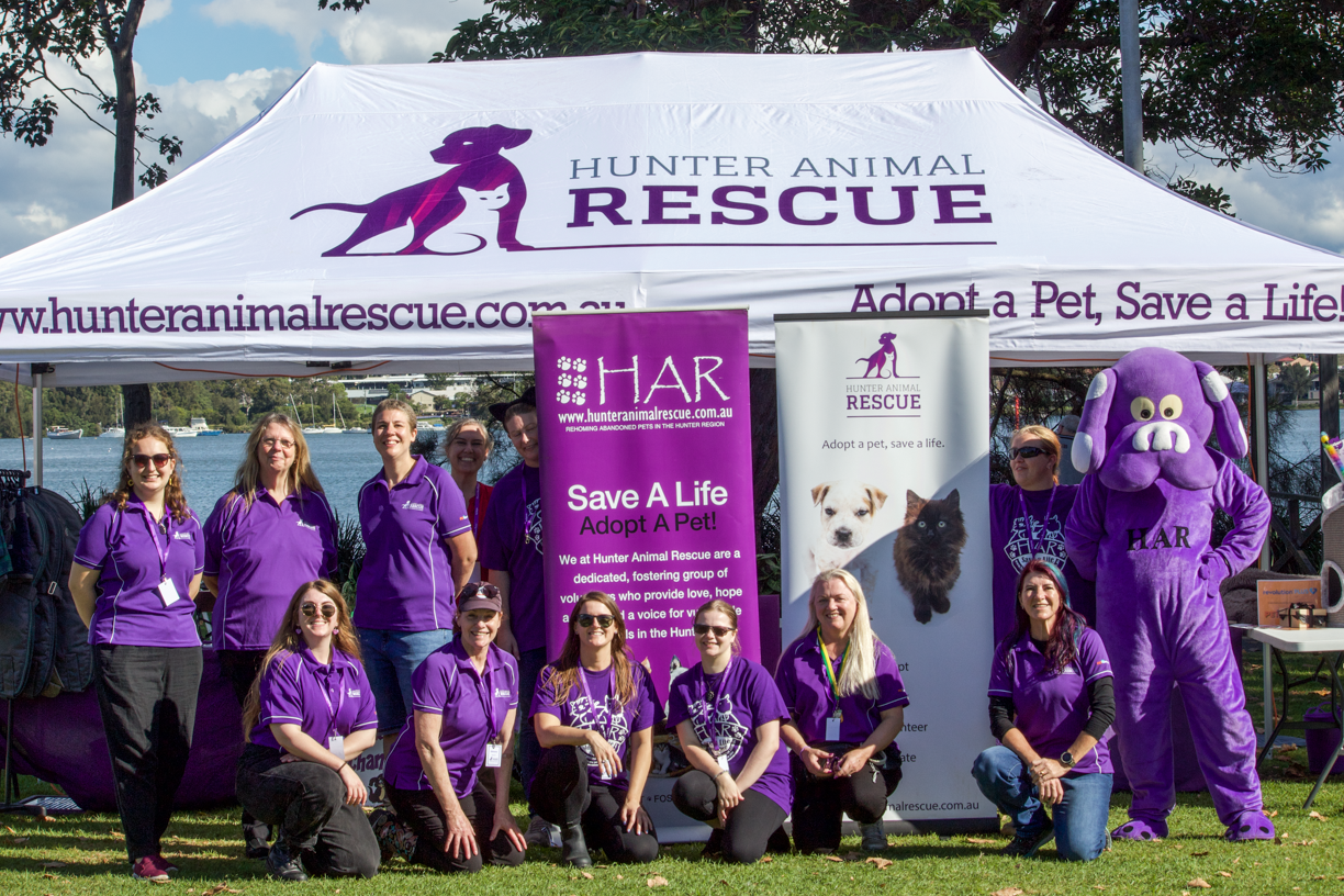 Become a Volunteer | Hunter Animal Rescue
